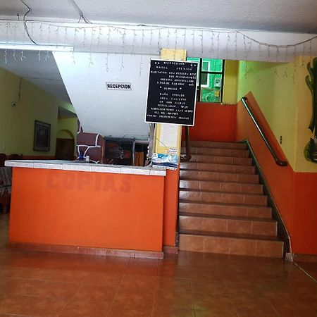 Hotel Avenida Tuxtla Gutiérrez Zewnętrze zdjęcie